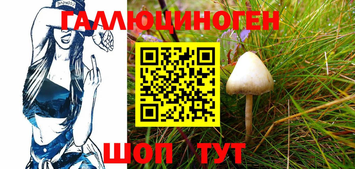 Галлюциногенные грибы Cubensis  Вход с VPN  Галлюциногенные грибы MAGIC MUSHROOMS  Трёхгорный 